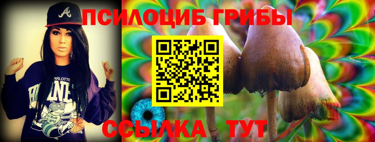 Псилоцибиновые грибы Cubensis  Вход с VPN  Южно-Сахалинск 